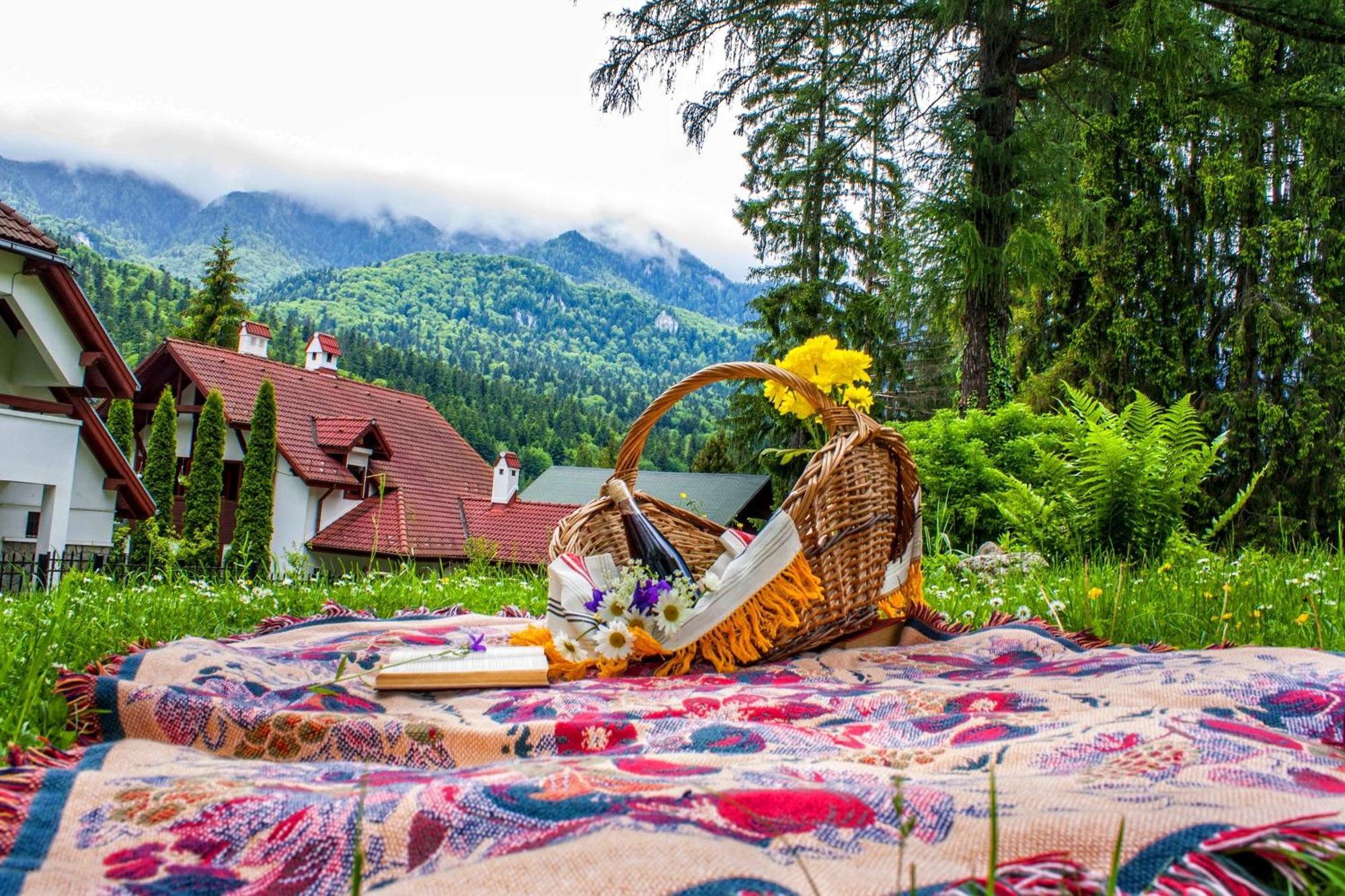 Pensiunea Boema Sinaia Luaran gambar