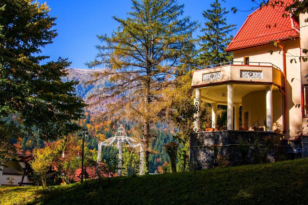 Pensiunea Boema Sinaia Luaran gambar