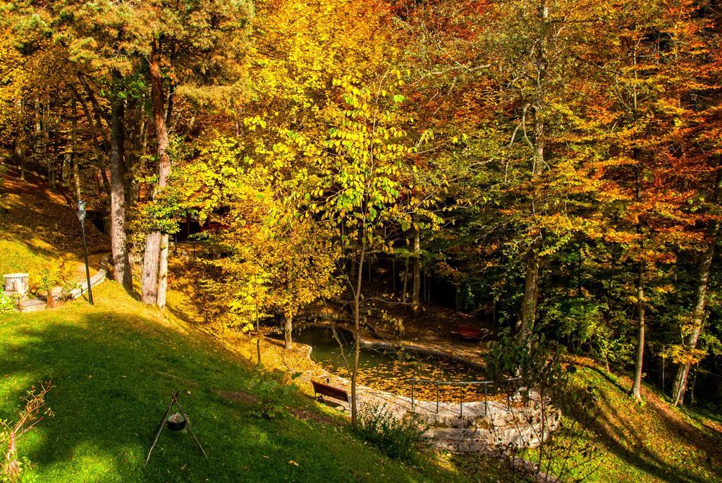 Pensiunea Boema Sinaia Luaran gambar